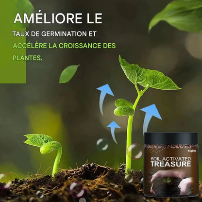 🌱Trésor du sol : le stimulateur racinaire ultime en SENEGAL