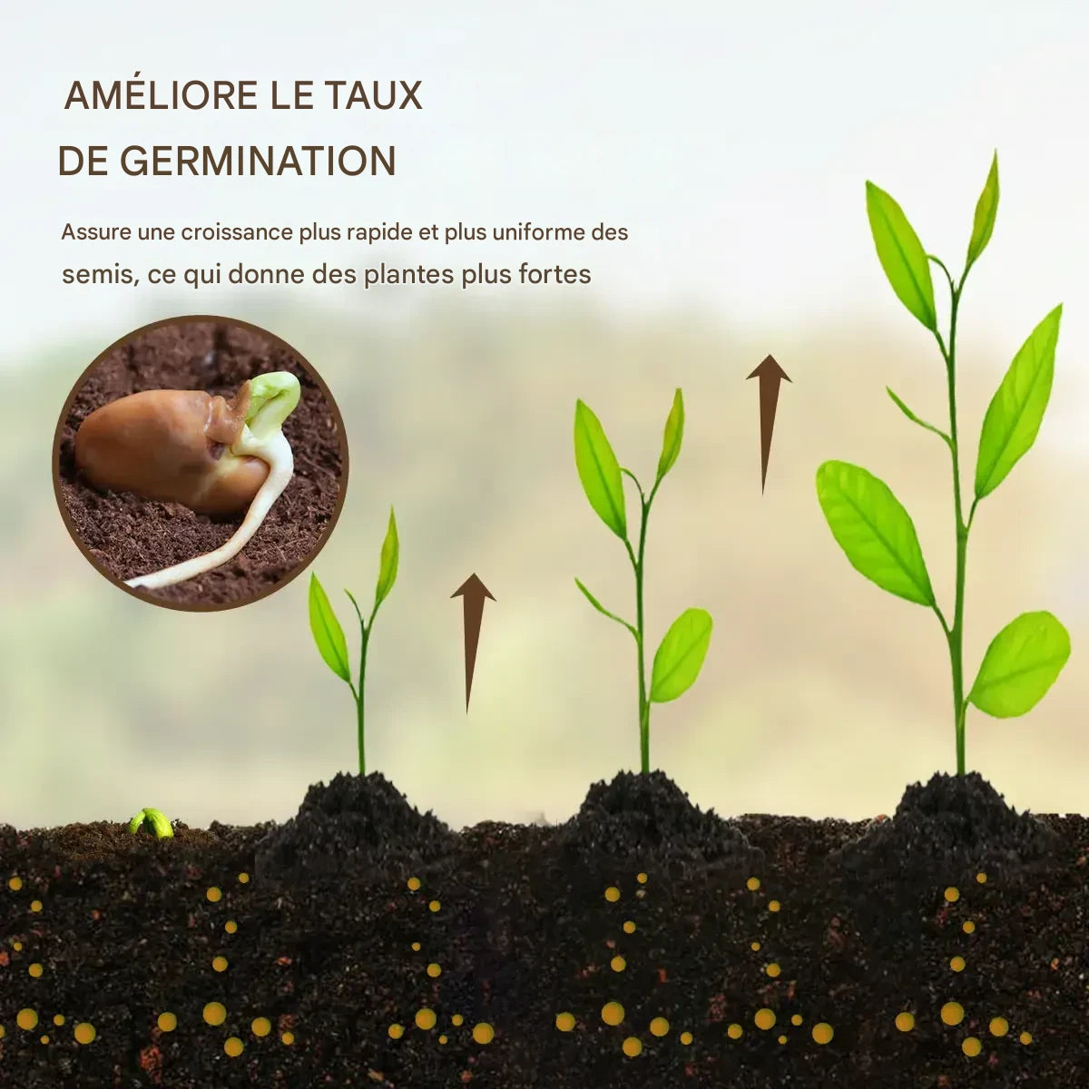 🌱Trésor du sol : le stimulateur racinaire ultime en SENEGAL