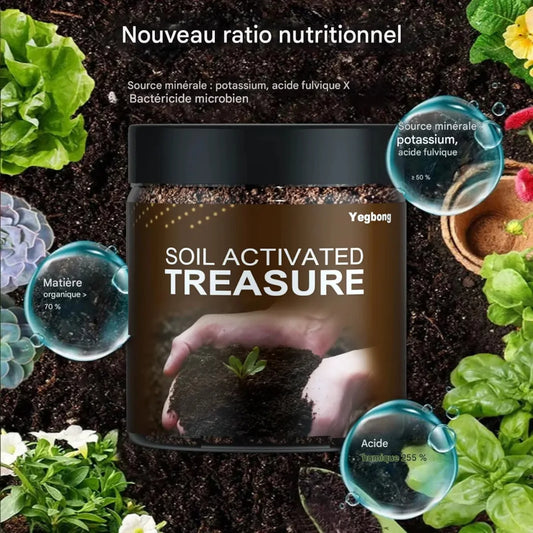 🌱 Trésor du Sol — Stimulateur Racinaire Yegbong sn
