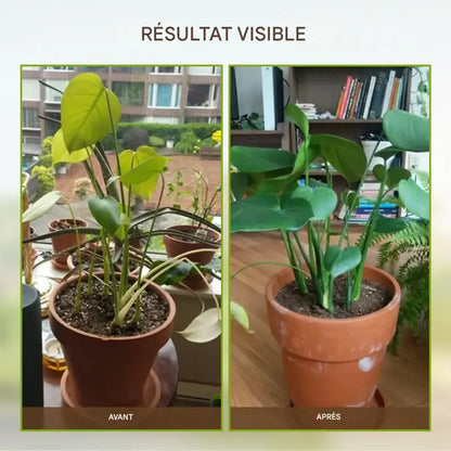 🌱Trésor du sol : le stimulateur racinaire ultime en SENEGAL
