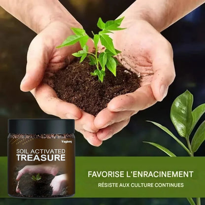 🌱Trésor du sol : le stimulateur racinaire ultime en SENEGAL